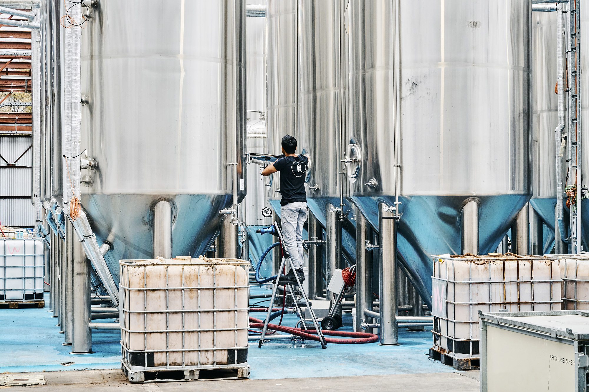 Fermentation tanks at Moon Dog World | Photography: Pete Dillon
