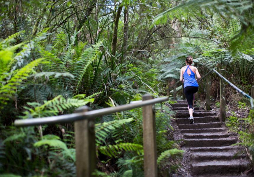 After More Than a Year, the 1000 Steps Walk Reopens