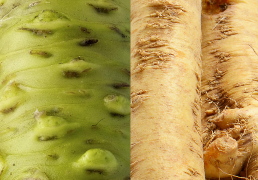 Wasabi Versus Horseradish