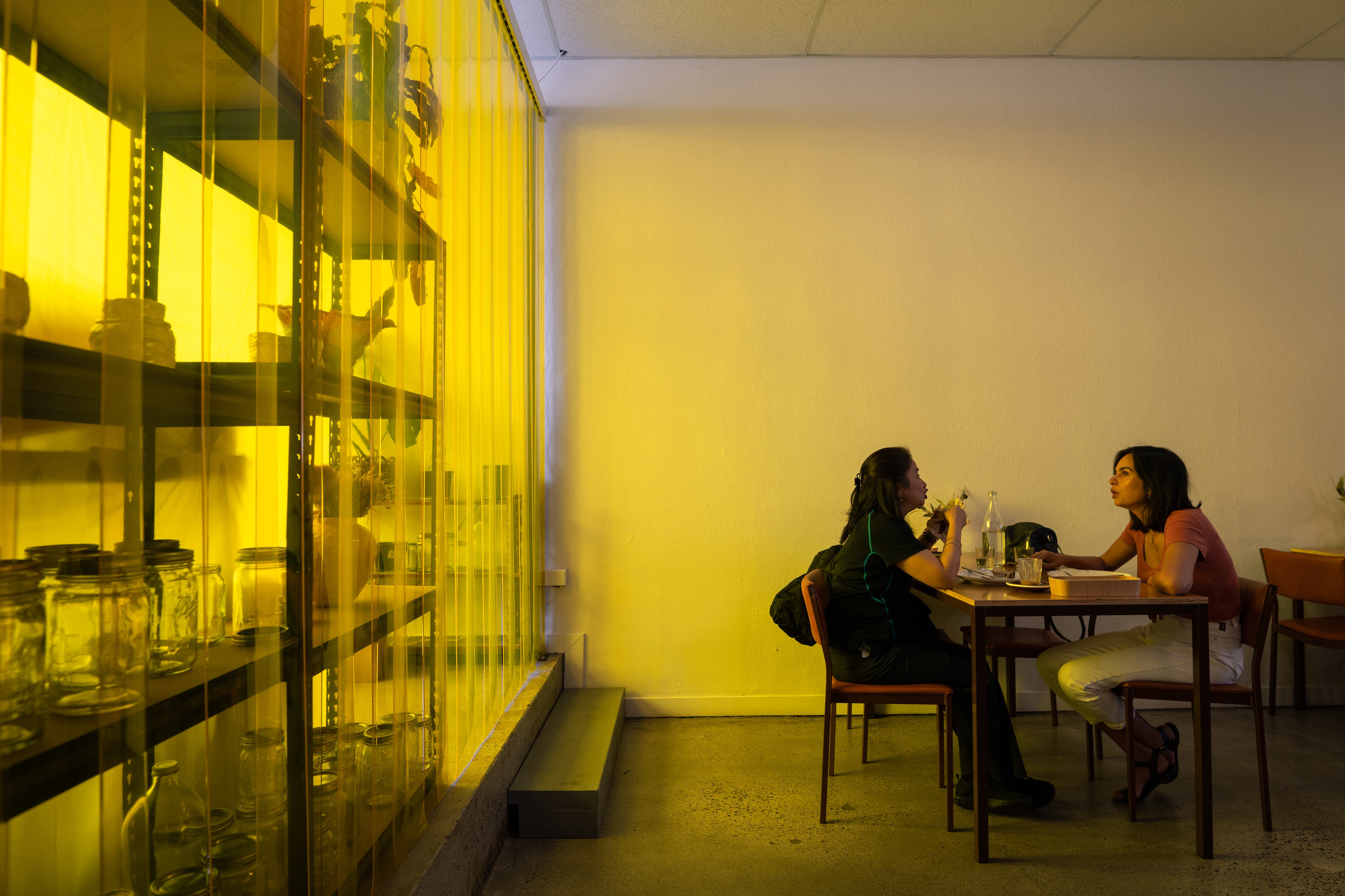 Inside The Dunedin Boom Our Guide to the New Zealand City (Including a