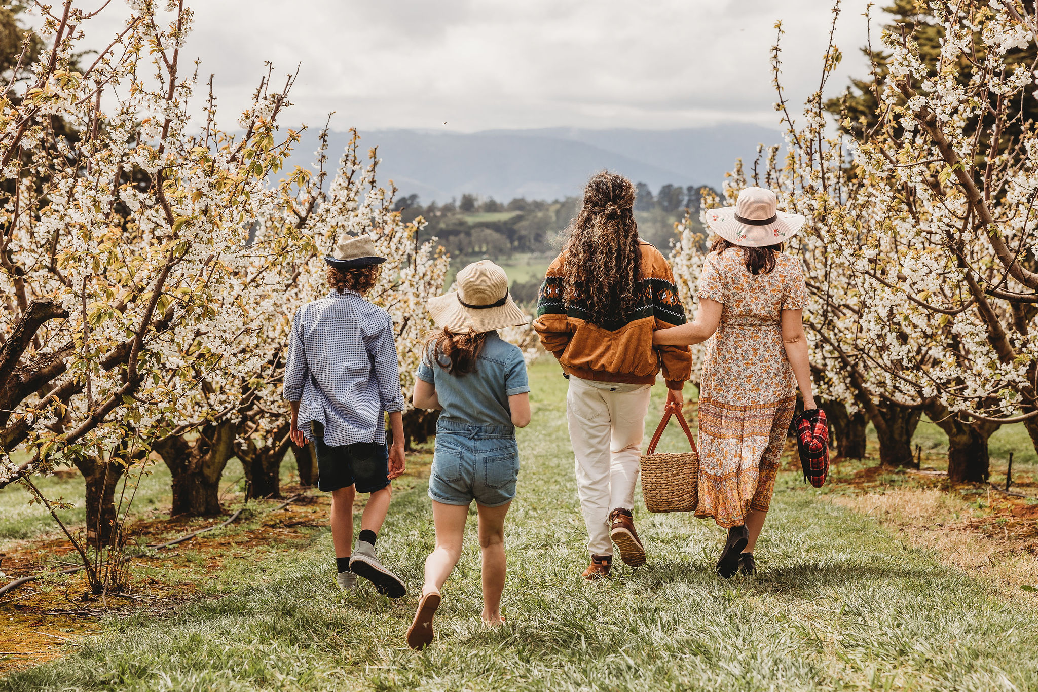 Cherryhill's Blossom Festival