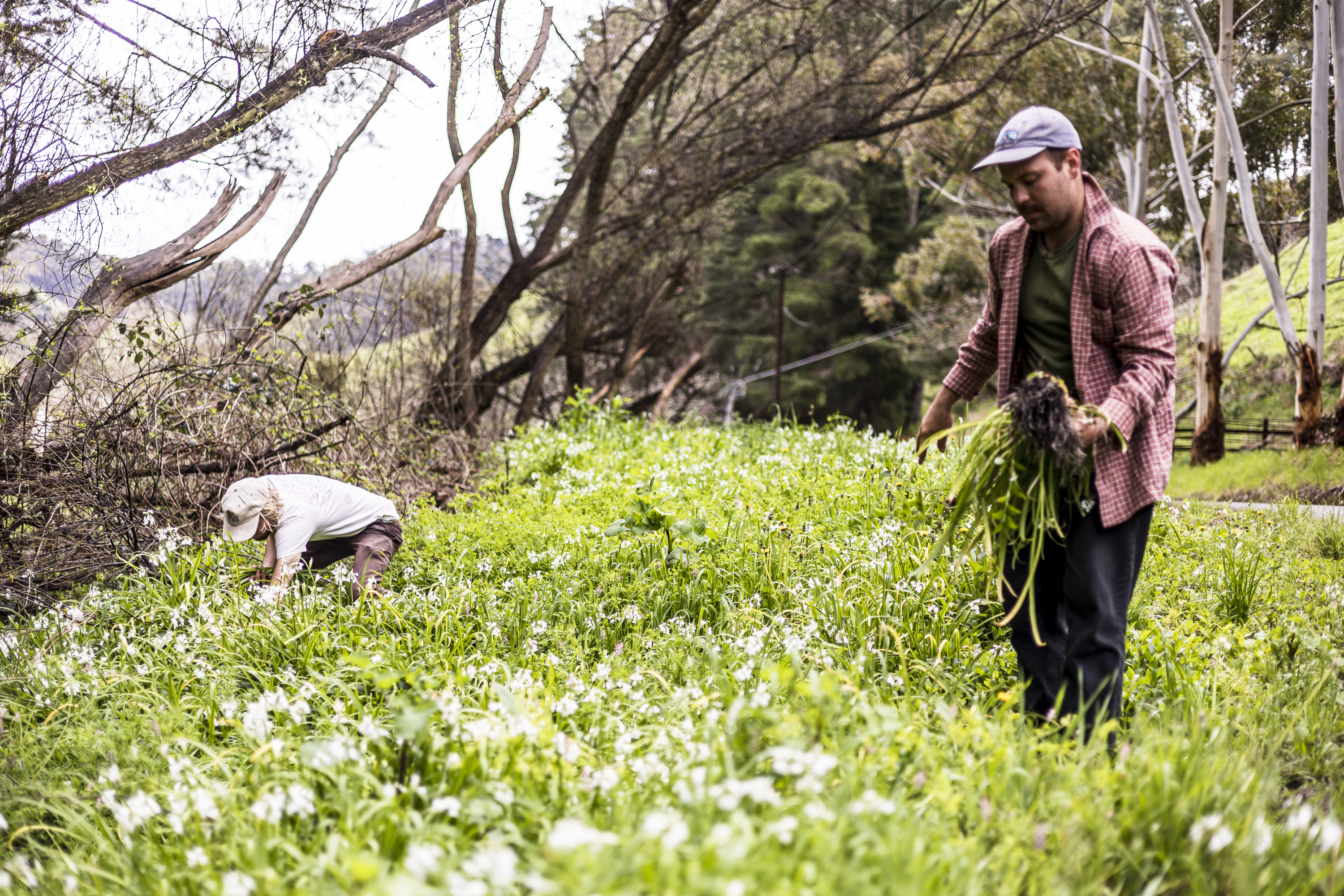 Tom Campbell and Ethan Eadie in the garden. Photography: Max Veenhuyzen
