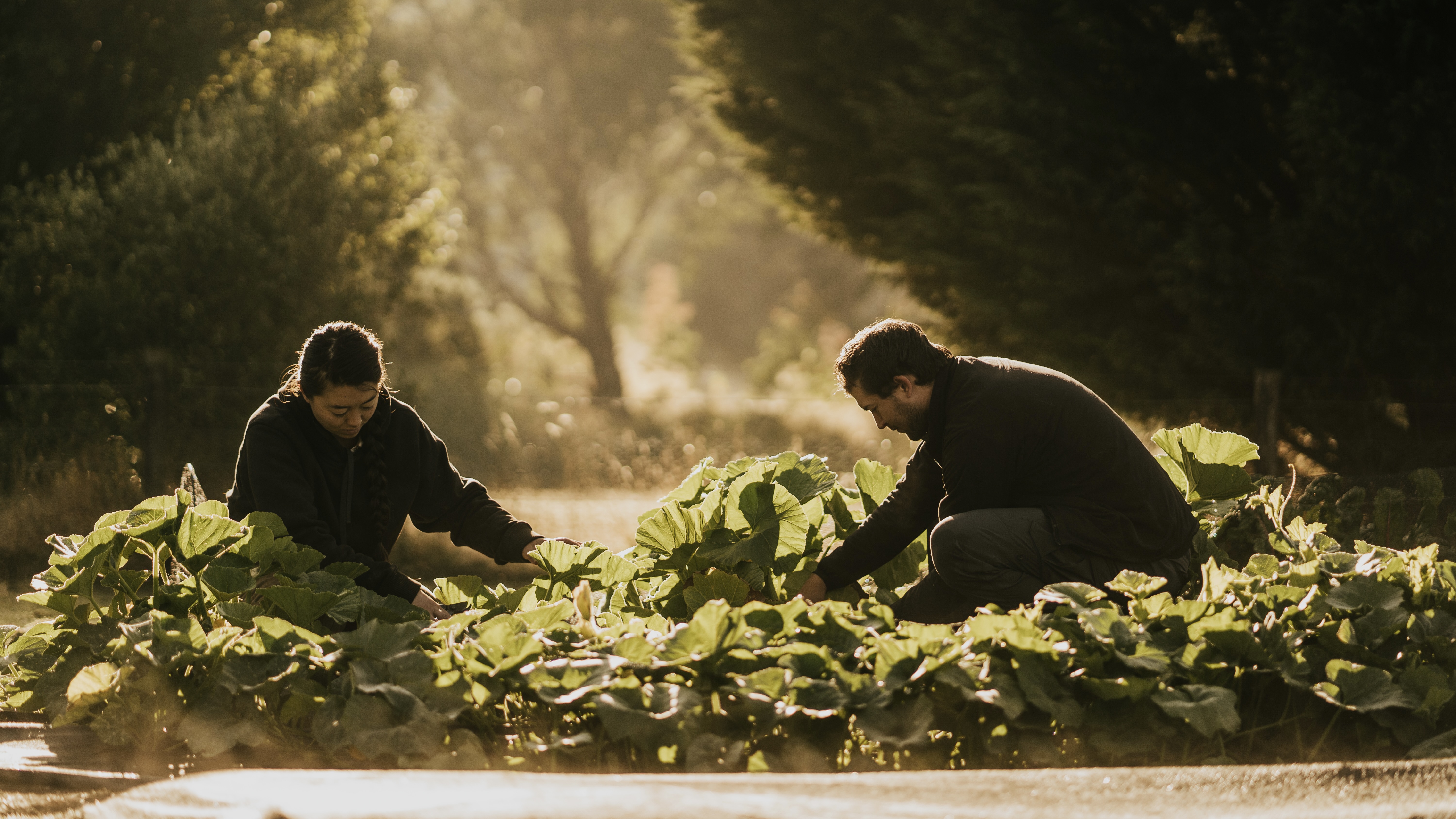 Dairy Flat Farm. Photo: Courtesy of Lake House