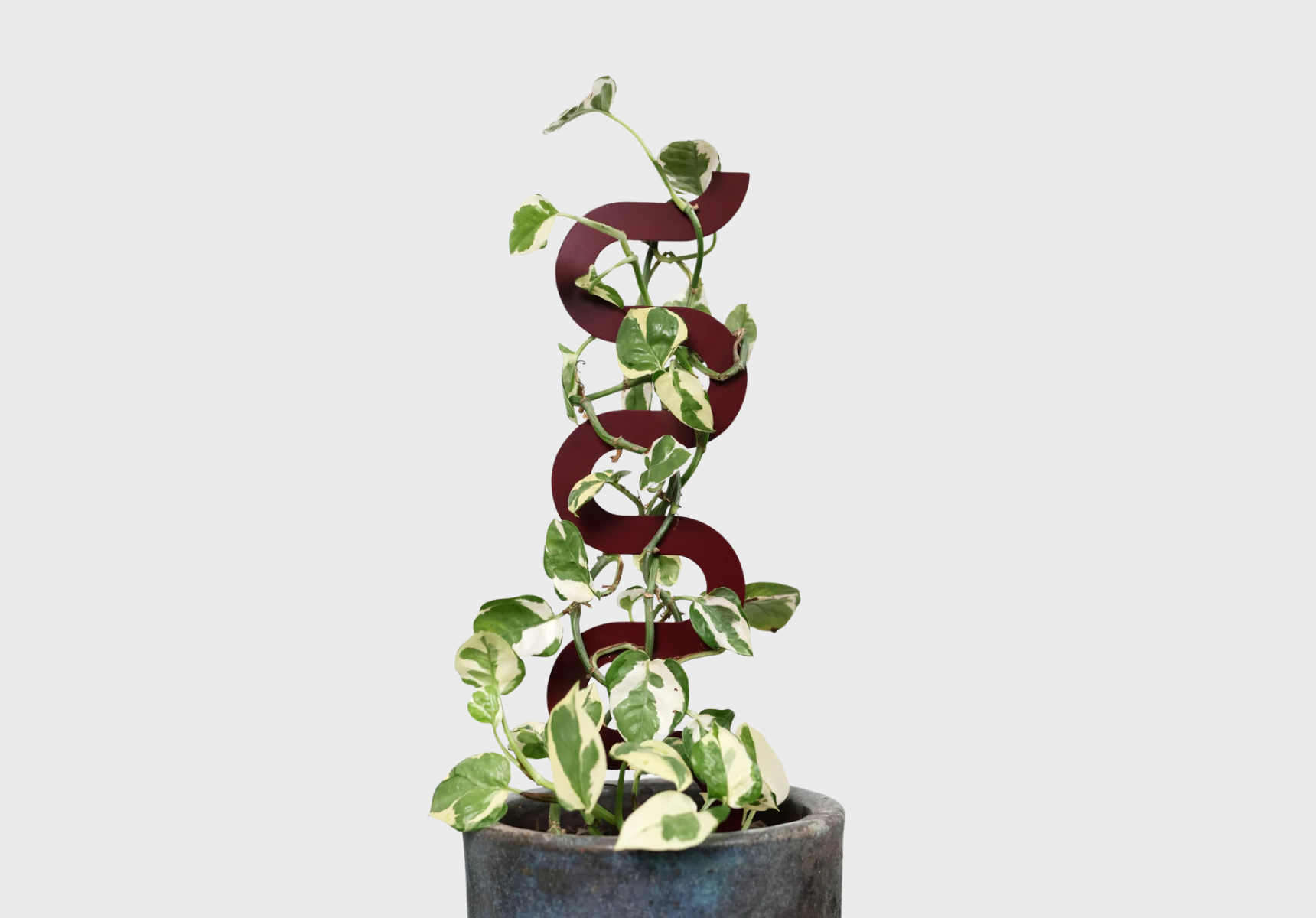 Secateur Me Baby plant stake