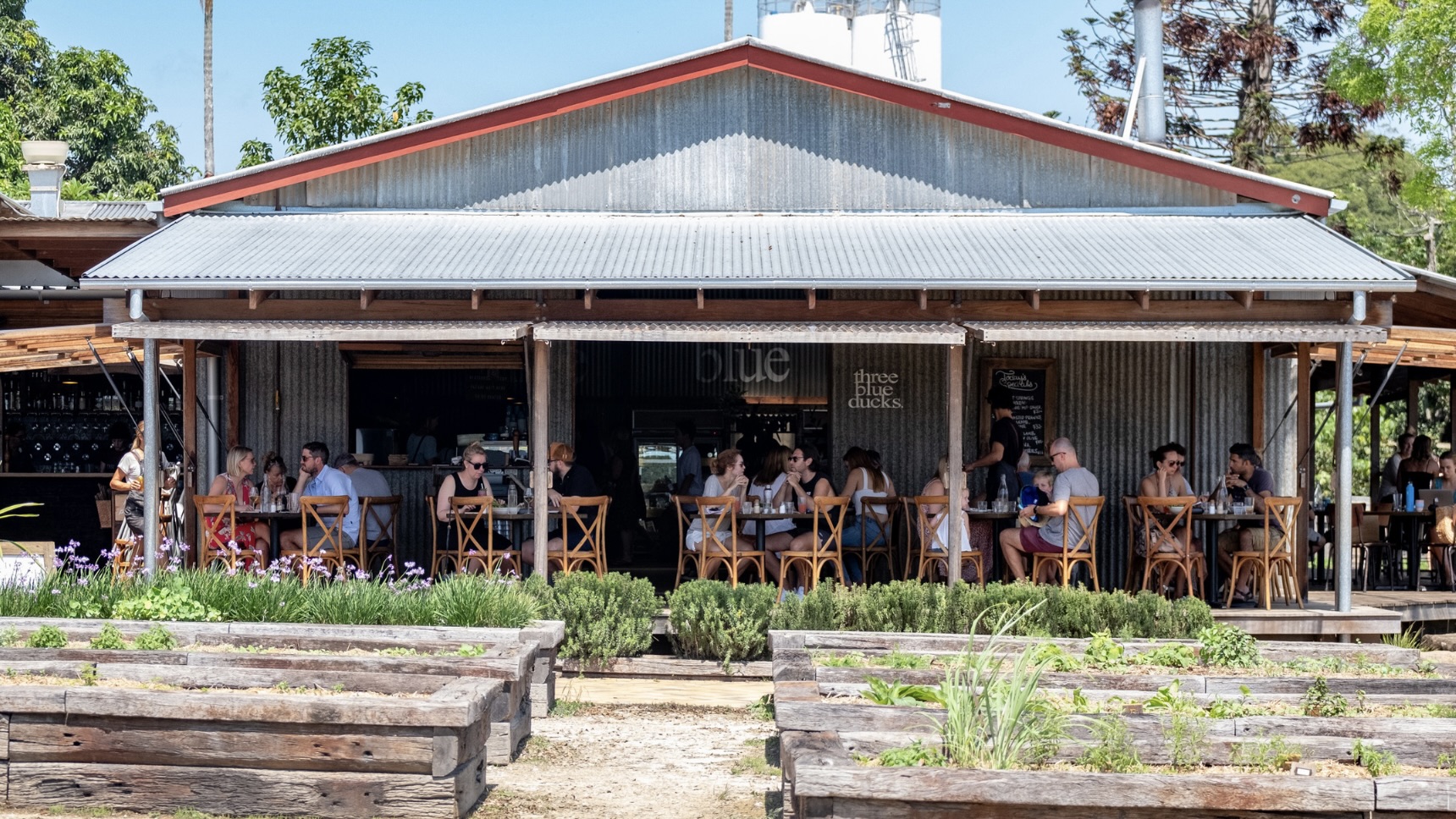 The Farm, Byron Bay. Photo: Dale Harper