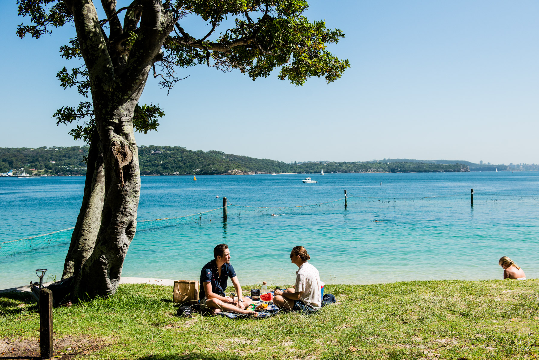 Sydney’s Best Beach Picnic Spots