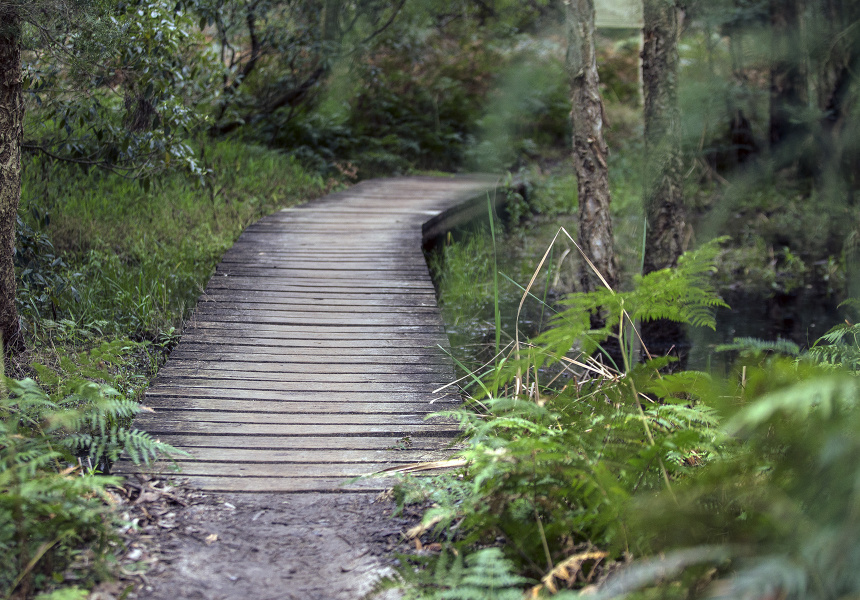 Best Runs in Sydney Exercise Sydney Broadsheet Sydney